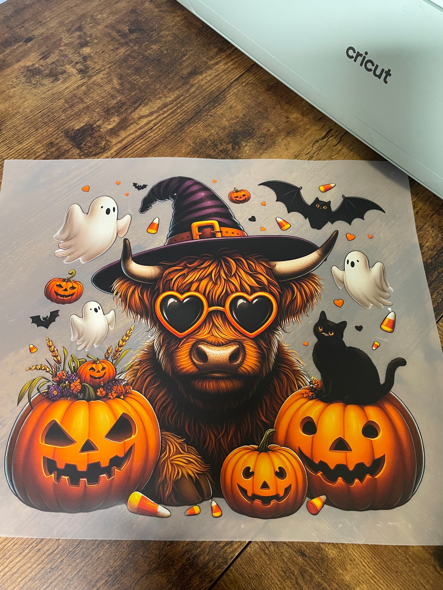 Adults Custom T-Shirts