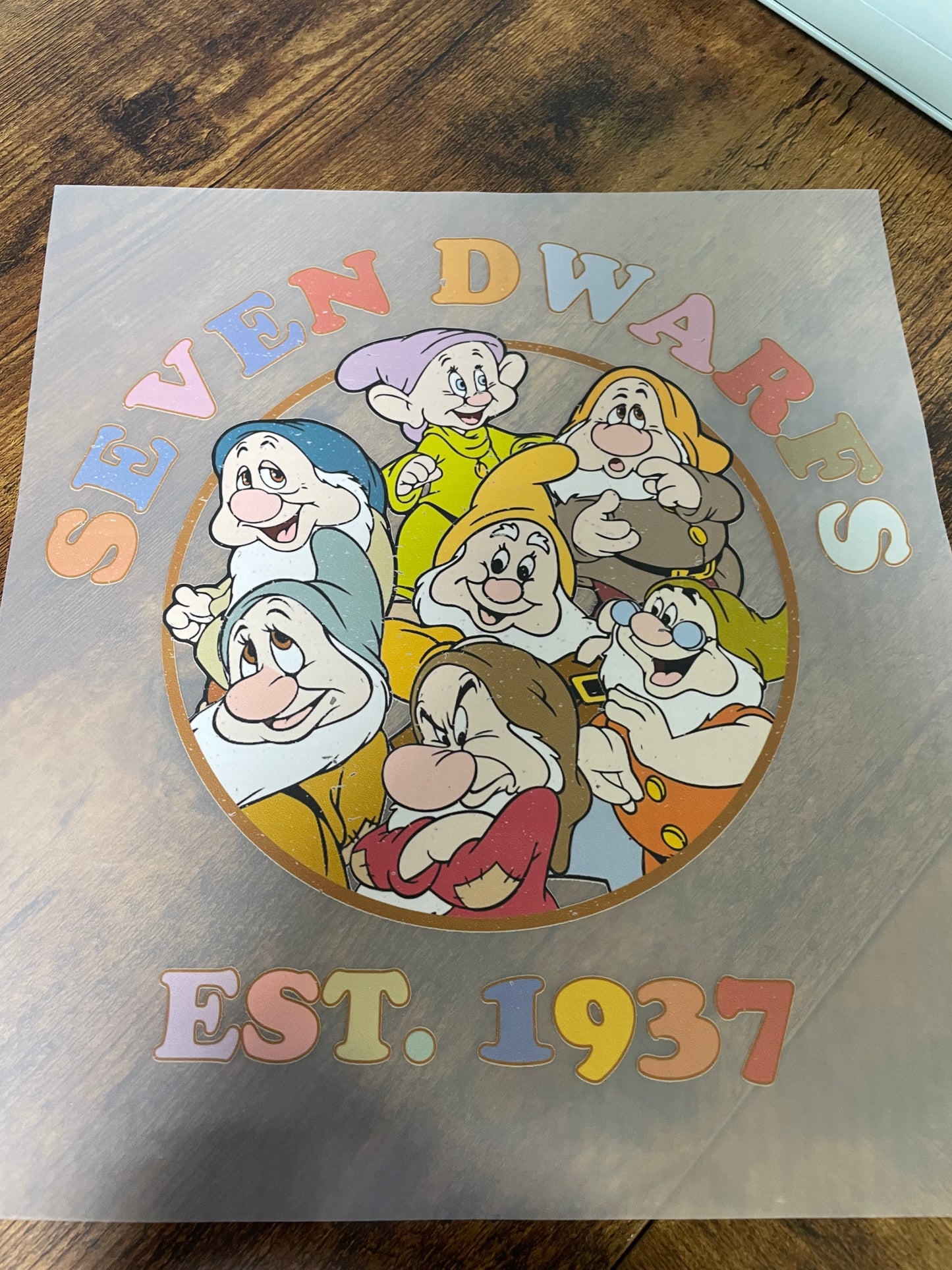 Adults Custom T-Shirts